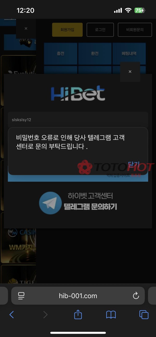 하이벳 먹튀
