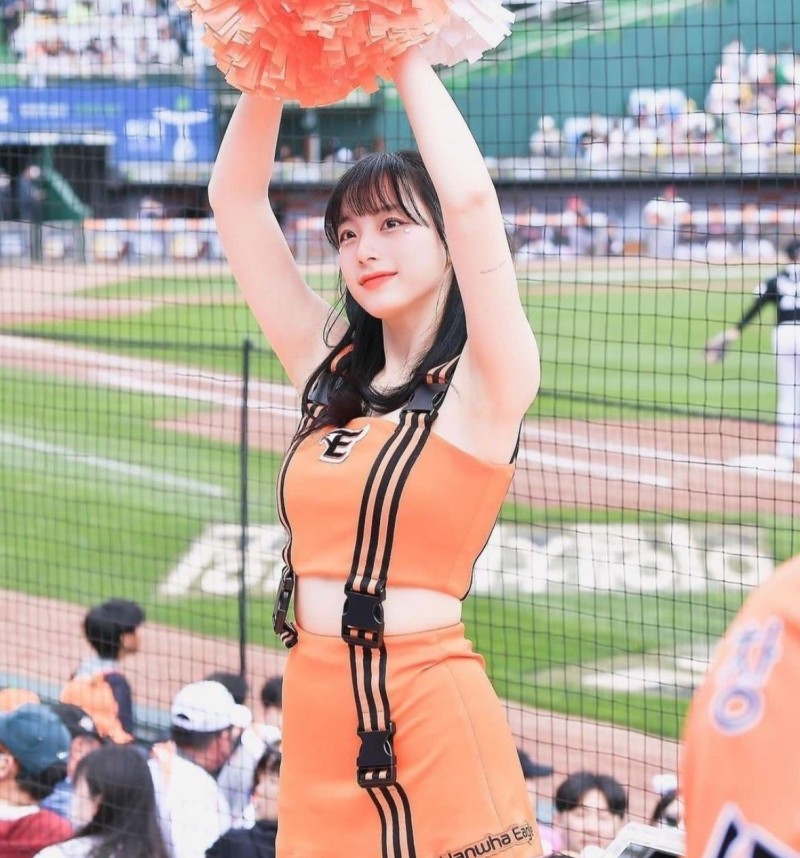 올해도