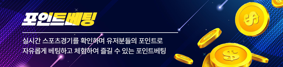 배너
