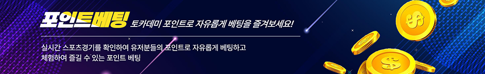 배너